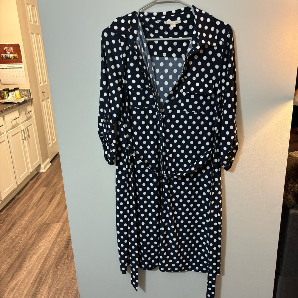 Dress barn dress